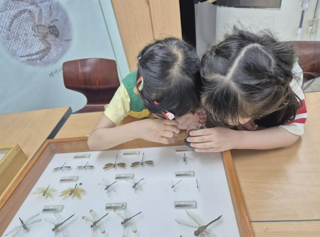 성남시 '꿈틀이 환경교실' 등 5종 우수 환경교육 프로그램 지정 기사 이미지